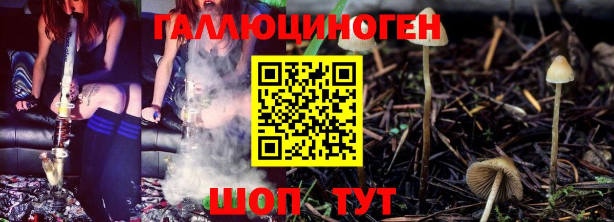 Галлюциногенные грибы Cubensis Апатиты